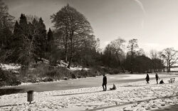 Snow 2012 Temple Newsam